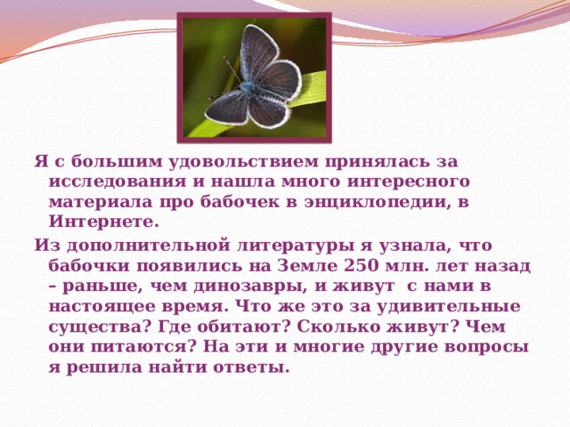 Я с большим удовольствием принялась за исследования и нашла много интересного материала про бабочек в энциклопедии, в Интернете. Из дополнительной литературы я узнала, что бабочки появились на Земле 250 млн. лет назад – раньше, чем динозавры, и живут с нами в настоящее время. Что же это за удивительные существа? Где обитают? Сколько живут? Чем они питаются? На эти и многие другие вопросы я решила найти ответы. 