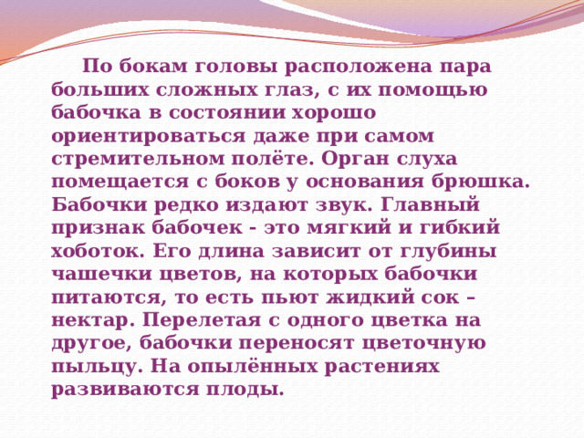  По бокам головы расположена пара больших сложных глаз, с их помощью бабочка в состоянии хорошо ориентироваться даже при самом стремительном полёте. Орган слуха помещается с боков у основания брюшка. Бабочки редко издают звук. Главный признак бабочек - это мягкий и гибкий хоботок. Его длина зависит от глубины чашечки цветов, на которых бабочки питаются, то есть пьют жидкий сок – нектар. Перелетая с одного цветка на другое, бабочки переносят цветочную пыльцу. На опылённых растениях развиваются плоды. 