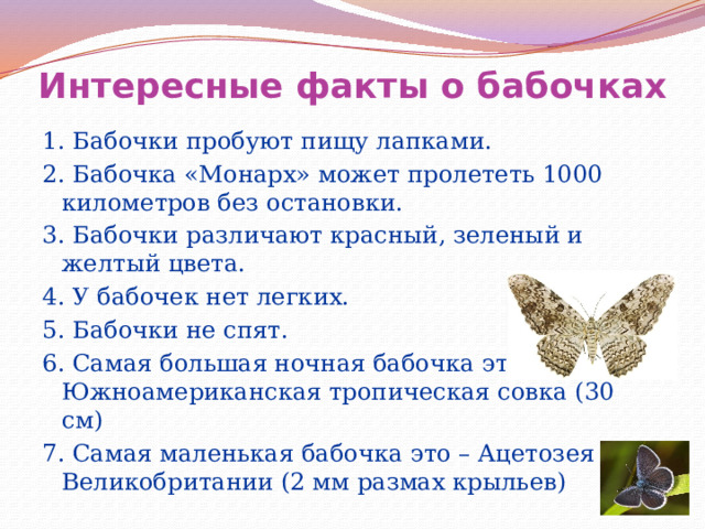 Интересные факты о бабочках 1. Бабочки пробуют пищу лапками. 2. Бабочка «Монарх» может пролететь 1000 километров без остановки. 3. Бабочки различают красный, зеленый и желтый цвета. 4. У бабочек нет легких. 5. Бабочки не спят. 6. Самая большая ночная бабочка это – Южноамериканская тропическая совка (30 см) 7. Самая маленькая бабочка это – Ацетозея из Великобритании (2 мм размах крыльев) 