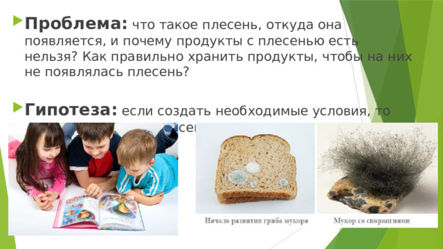 Проблема: что такое плесень, откуда она появляется, и почему продукты с плесенью есть нельзя? Как правильно хранить продукты, чтобы на них не появлялась плесень? Гипотеза: если создать необходимые условия, то можно вырастить плесень. 