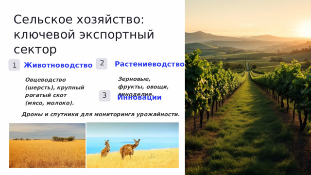 Сельское хозяйство: ключевой экспортный сектор 2 Растениеводство Животноводство 1 Зерновые, фрукты, овощи, виноделие. Овцеводство (шерсть), крупный рогатый скот (мясо, молоко). 3 Инновации Дроны и спутники для мониторинга урожайности. 