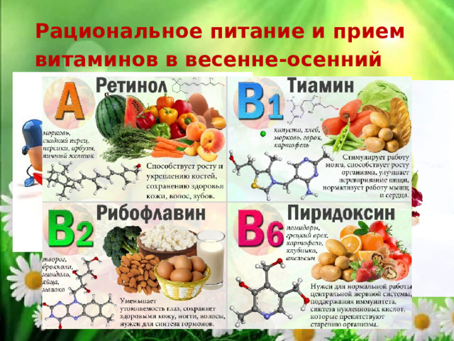 Рациональное питание и прием витаминов в весенне-осенний период. 