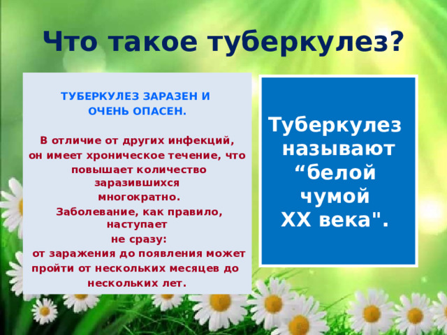 Что такое туберкулез?  ТУБЕРКУЛЕЗ ЗАРАЗЕН И ОЧЕНЬ ОПАСЕН.   В отличие от других инфекций, он имеет хроническое течение, что  повышает количество заразившихся  многократно.  Заболевание, как правило, наступает  не сразу:  от заражения до появления может пройти от нескольких месяцев до нескольких лет. Туберкулез называют “ белой чумой ХХ века