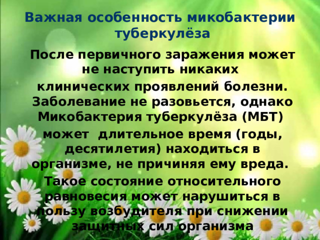 Важная особенность микобактерии  туберкулёза   После первичного заражения может не наступить никаких клинических проявлений болезни. Заболевание не разовьется, однако Микобактерия туберкулёза (МБТ) может длительное время (годы, десятилетия) находиться в организме, не причиняя ему вреда. Такое состояние относительного равновесия может нарушиться в пользу возбудителя при снижении защитных сил организма 