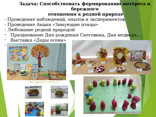 Задача: Способствовать формированию интереса и бережного  отношения к родной природе - Проведение наблюдений, опытов и экспериментов - Проведение Акции «Зимующие птицы» - Любование родной природой Празднование Дня рождения Снеговика, Дня медведя… Выставка «Дары осени» Дидактические игры 