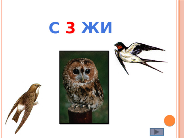 С 3 ЖИ 