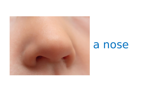 a nose 