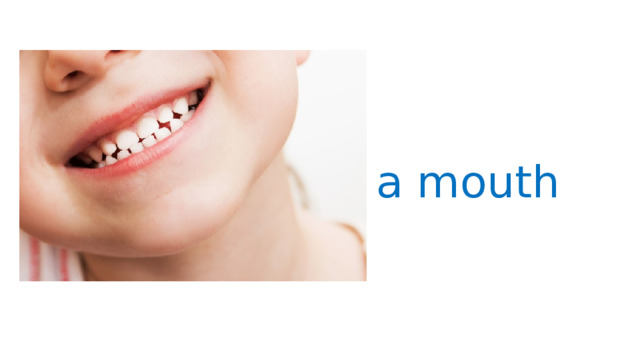 a mouth 