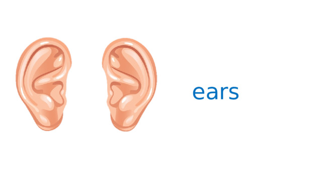 ears 