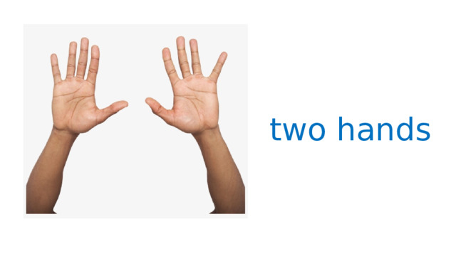 two hands 