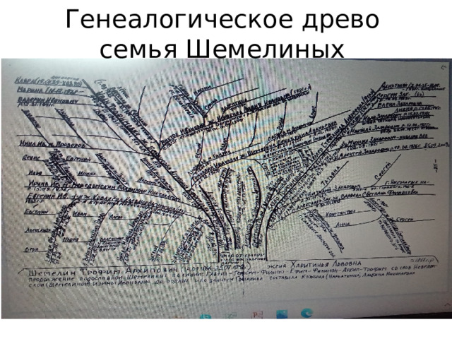 Генеалогическое древо семья Шемелиных 
