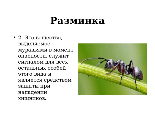 Разминка 2. Это вещество, выделяемое муравьями в момент опасности, служит сигналом для всех остальных особей этого вида и является средством защиты при нападении хищников.  