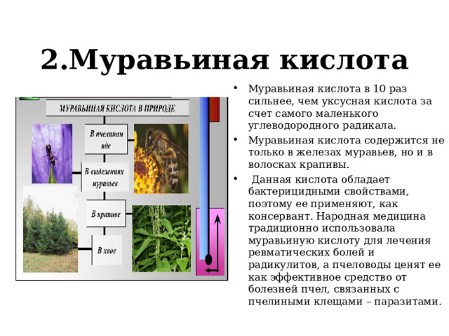 2.Муравьиная кислота Муравьиная кислота в 10 раз сильнее, чем уксусная кислота за счет самого маленького углеводородного радикала. Муравьиная кислота содержится не только в железах муравьев, но и в волосках крапивы.  Данная кислота обладает бактерицидными свойствами, поэтому ее применяют, как консервант. Народная медицина традиционно использовала муравьиную кислоту для лечения ревматических болей и радикулитов, а пчеловоды ценят ее как эффективное средство от болезней пчел, связанных с пчелиными клещами – паразитами.  
