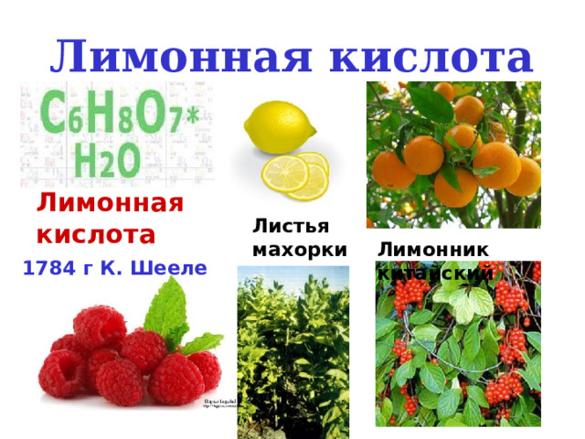 Лимонная кислота Лимонная кислота Листья махорки Лимонник китайский 1784 г К. Шееле 
