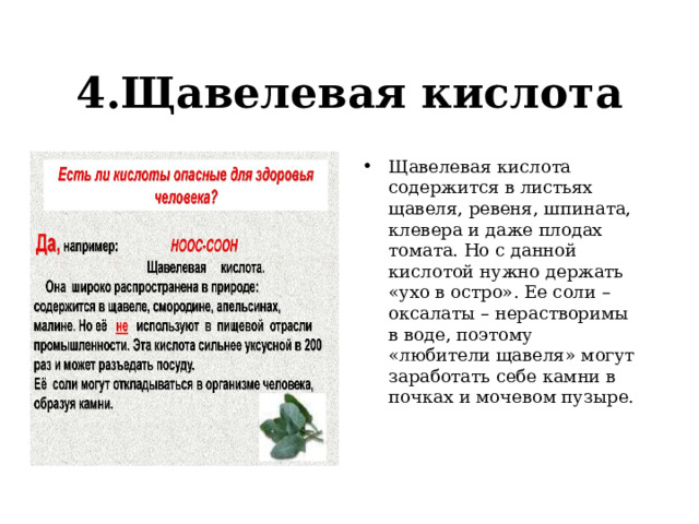 4.Щавелевая кислота Щавелевая кислота содержится в листьях щавеля, ревеня, шпината, клевера и даже плодах томата. Но с данной кислотой нужно держать «ухо в остро». Ее соли – оксалаты – нерастворимы в воде, поэтому «любители щавеля» могут заработать себе камни в почках и мочевом пузыре. 