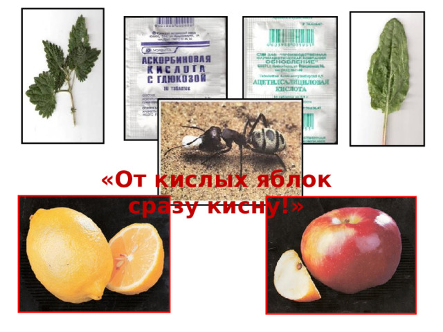 «От кислых яблок сразу кисну!»   