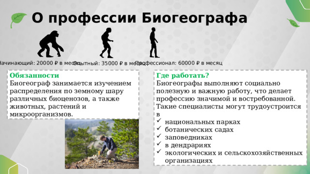 О профессии Биогеографа Начинающий: 20000 ₽ в месяц Профессионал: 60000 ₽ в месяц Опытный: 35000 ₽ в месяц Обязанности Где работать? Биогеограф занимается изучением распределения по земному шару различных биоценозов, а также животных, растений и микроорганизмов. Биогеографы выполняют социально полезную и важную работу, что делает профессию значимой и востребованной. Такие специалисты могут трудоустроится в национальных парках ботанических садах заповедниках в дендрариях экологических и сельскохозяйственных организациях 