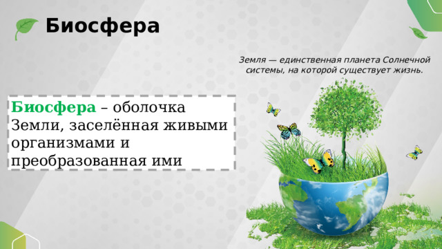 Биосфера Земля — единственная планета Солнечной системы, на которой существует жизнь. Биосфера – оболочка Земли, заселённая живыми организмами и преобразованная ими 