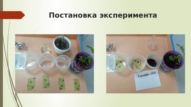 Постановка эксперимента 