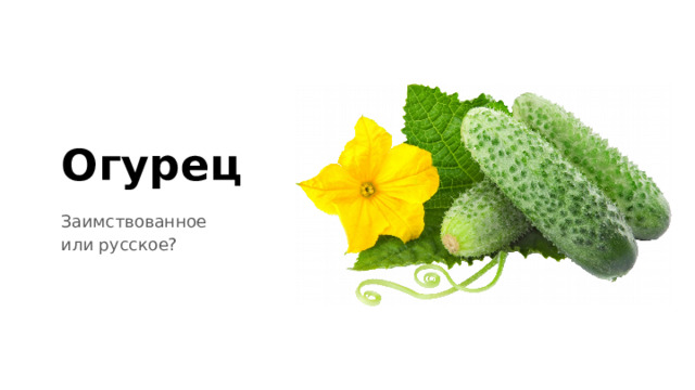 Огурец Заимствованное или русское? 