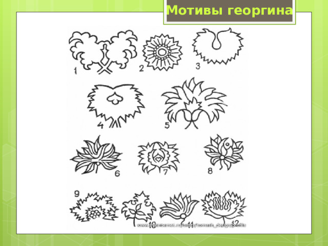 Мотивы георгина 