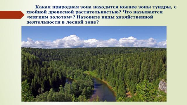  Какая природная зона находится южнее зоны тундры, с хвойной древесной растительностью? Что называется «мягким золотом»? Назовите виды хозяйственной деятельности в лесной зоне? 