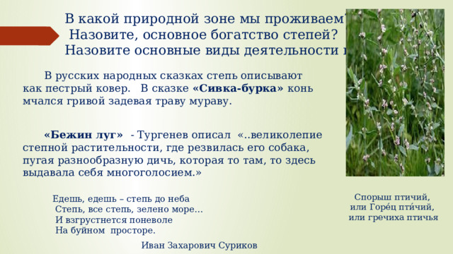 В какой природной зоне мы проживаем?  Назовите, основное богатство степей?  Назовите основные виды деятельности в степях?  В русских народных сказках степь описывают как пестрый ковер. В сказке «Сивка-бурка» конь мчался гривой задевая траву мураву.  «Бежин луг» - Тургенев описал «..великолепие степной растительности, где резвилась его собака, пугая разнообразную дичь, которая то там, то здесь выдавала себя многоголосием.»  Едешь, едешь – степь до неба  Степь, все степь, зелено море…  И взгрустнется поневоле  На буйном просторе.  Иван Захарович Суриков Спорыш птичий, или Горе́ц пти́чий, или гречиха птичья 