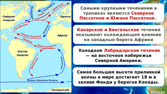 Самыми крупными течениями в тропиках являются Северное Пассатное и Южное Пассатное. Канарское и Бенгельское течения оказывают охлаждающее влияние на западные берега Африки  Холодное Лабрадорское течение — на восточное побережье Северной Америки.  Восточные берега Южной Америки омывает тёплое Бразильское течение . Самая большая высота приливной волны в мире достигает 18 м в заливе Фанди у берегов Канады. 