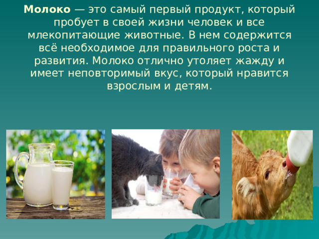 Молоко  — это самый первый продукт, который пробует в своей жизни человек и все млекопитающие животные. В нем содержится всё необходимое для правильного роста и развития. Молоко отлично утоляет жажду и имеет неповторимый вкус, который нравится взрослым и детям. 