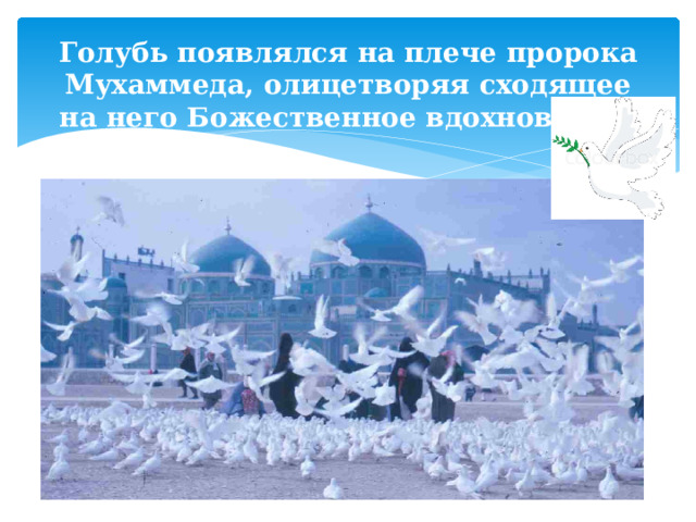 Голубь появлялся на плече пророка Мухаммеда, олицетворяя сходящее на него Божественное вдохновение.   