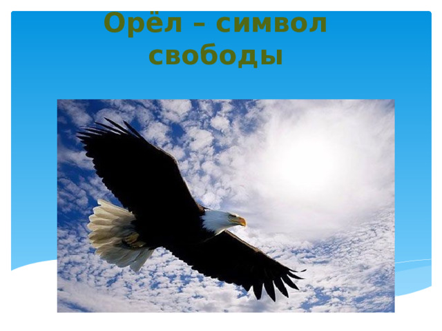 Орёл – символ свободы 