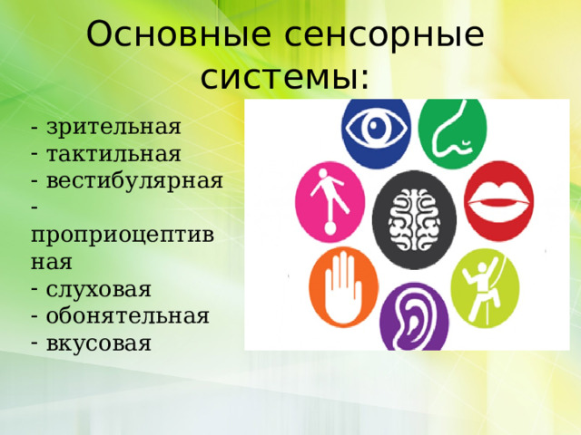 Основные сенсорные системы: - зрительная  тактильная  вестибулярная  проприоцептивная  слуховая  обонятельная  вкусовая 