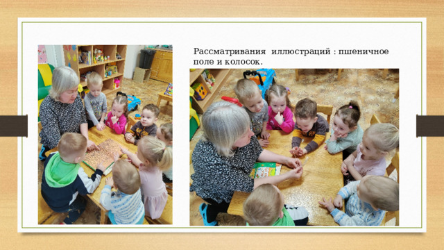 Рассматривания иллюстраций : пшеничное поле и колосок. 