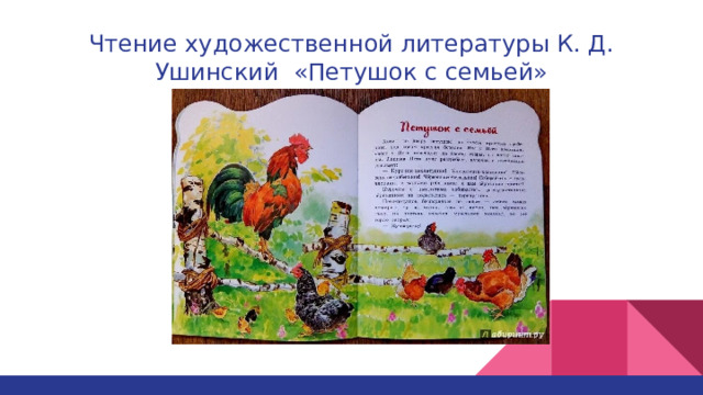 Чтение художественной литературы К. Д. Ушинский «Петушок с семьей» 