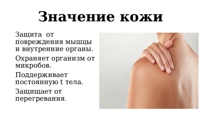 Значение кожи Защита от повреждения мышцы и внутренние органы. Охраняет организм от микробов. Поддерживает постоянную t тела. Защищает от перегревания . 