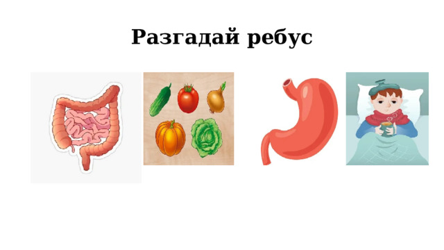 Разгадай ребус 