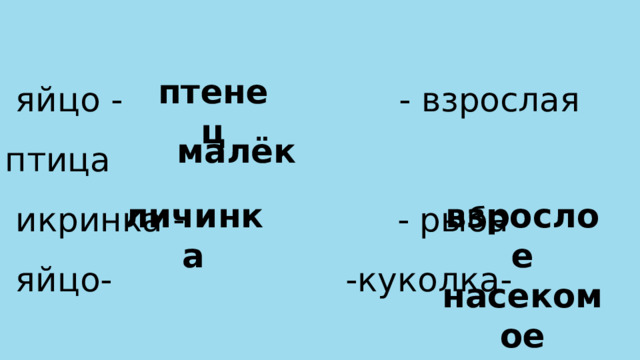  яйцо - - взрослая птица  икринка - - рыба  яйцо- -куколка- птенец малёк личинка взрослое насекомое 
