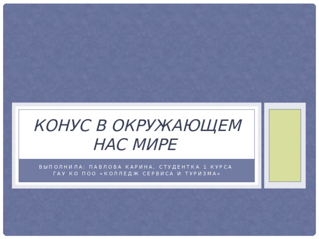 Конус в окружающем нас мире Выполнила: Павлова Карина, студентка 1 курса ГАУ КО ПОО «Колледж сервиса и туризма» 