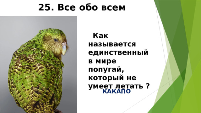 25. Все обо всем  Как называется единственный в мире попугай, который не умеет летать ? КАКАПО 