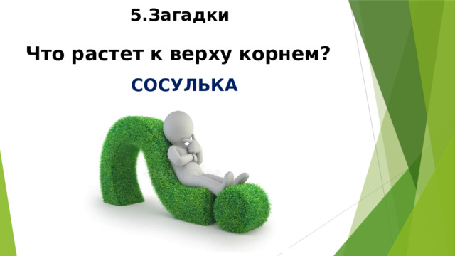  5.Загадки  Что растет к верху корнем? СОСУЛЬКА 
