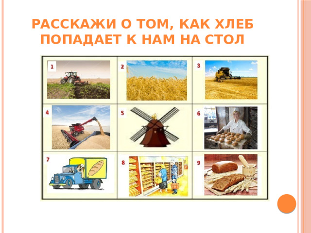 Расскажи о том, как хлеб попадает к нам на стол 
