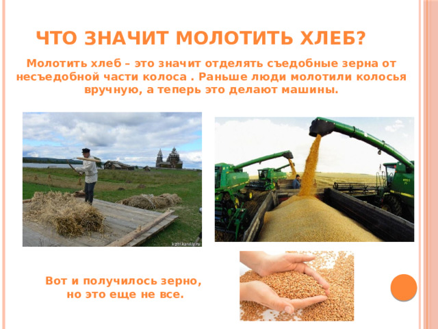 Что значит молотить хлеб? Молотить хлеб – это значит отделять съедобные зерна от несъедобной части колоса . Раньше люди молотили колосья вручную, а теперь это делают машины. Вот и получилось зерно, но это еще не все. 