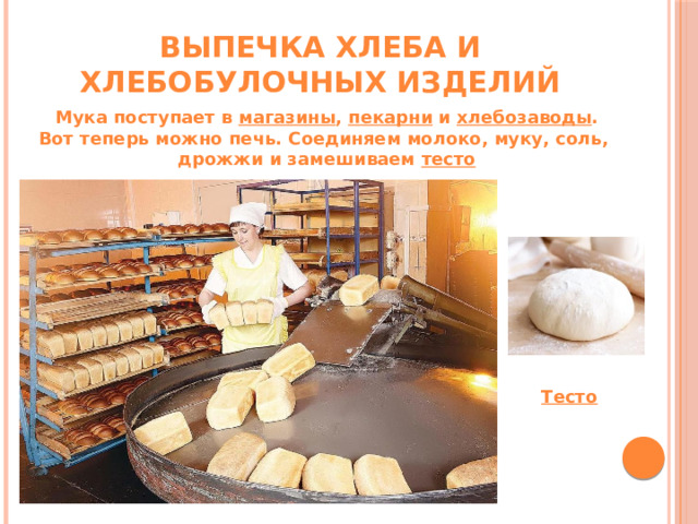 Выпечка хлеба и хлебобулочных изделий Мука поступает в магазины , пекарни и хлебозаводы . Вот теперь можно печь. Соединяем молоко, муку, соль, дрожжи и замешиваем тесто Тесто 