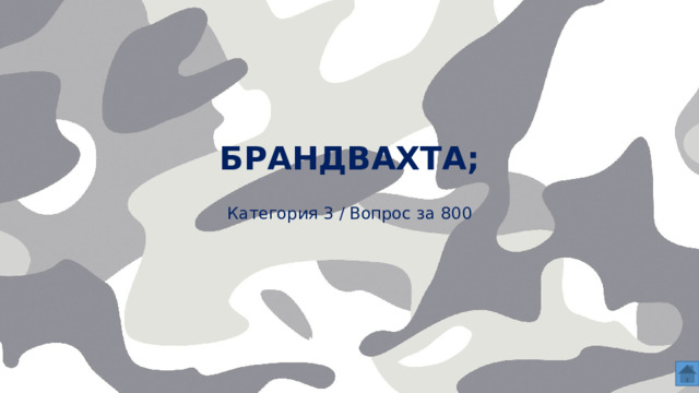 брандвахта;    Категория 3 / Вопрос за 800  