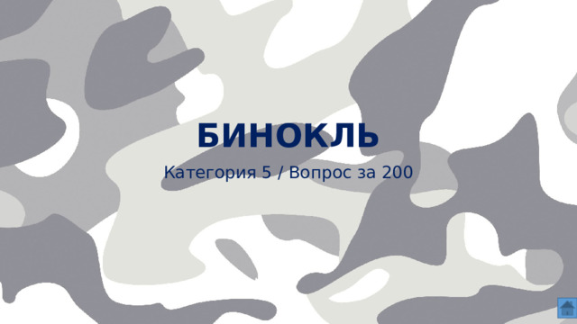 БИНОКЛЬ   Категория 5 / Вопрос за 200  