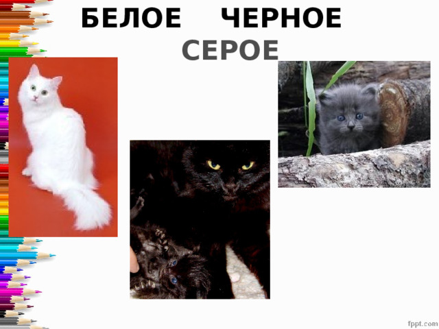 БЕЛОЕ ЧЕРНОЕ СЕРОЕ 