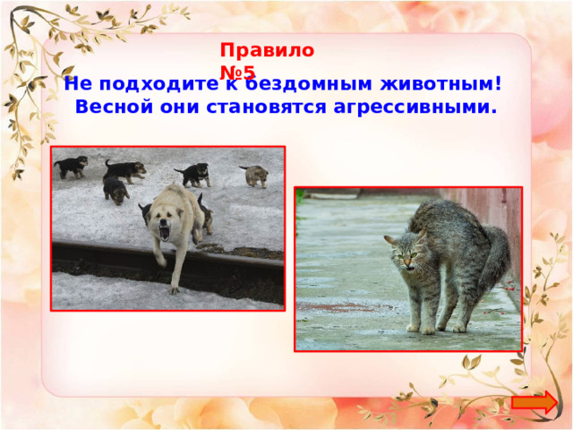 Правило №5 Не подходите к бездомным животным! Весной они становятся агрессивными. 