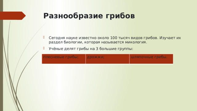 Разнообразие грибов   Сегодня науке известно около 100 тысяч видов грибов. Изучает их раздел биологии, которая называется микология. Учёные делят грибы на 3 большие группы: плесневые грибы;  дрожжи; шляпочные грибы.   