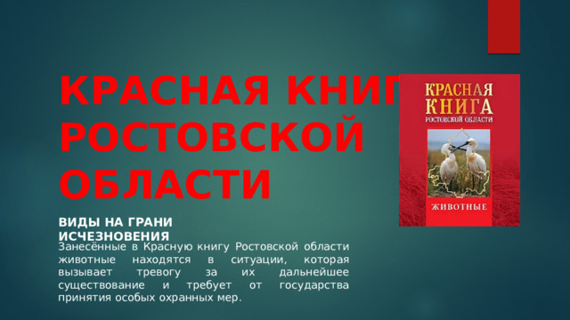 КРАСНАЯ КНИГА РОСТОВСКОЙ ОБЛАСТИ ВИДЫ НА ГРАНИ ИСЧЕЗНОВЕНИЯ Занесённые в Красную книгу Ростовской области животные находятся в ситуации, которая вызывает тревогу за их дальнейшее существование и требует от государства принятия особых охранных мер. 