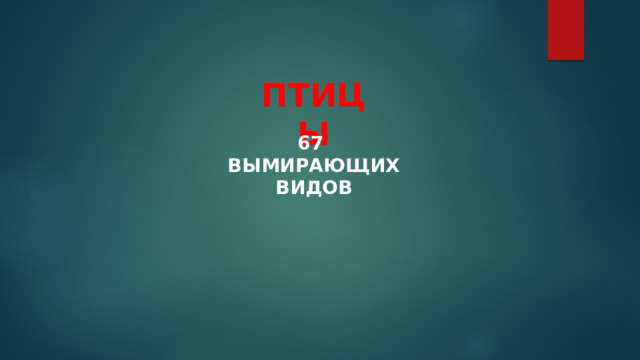 ПТИЦЫ 67 ВЫМИРАЮЩИХ ВИДОВ 